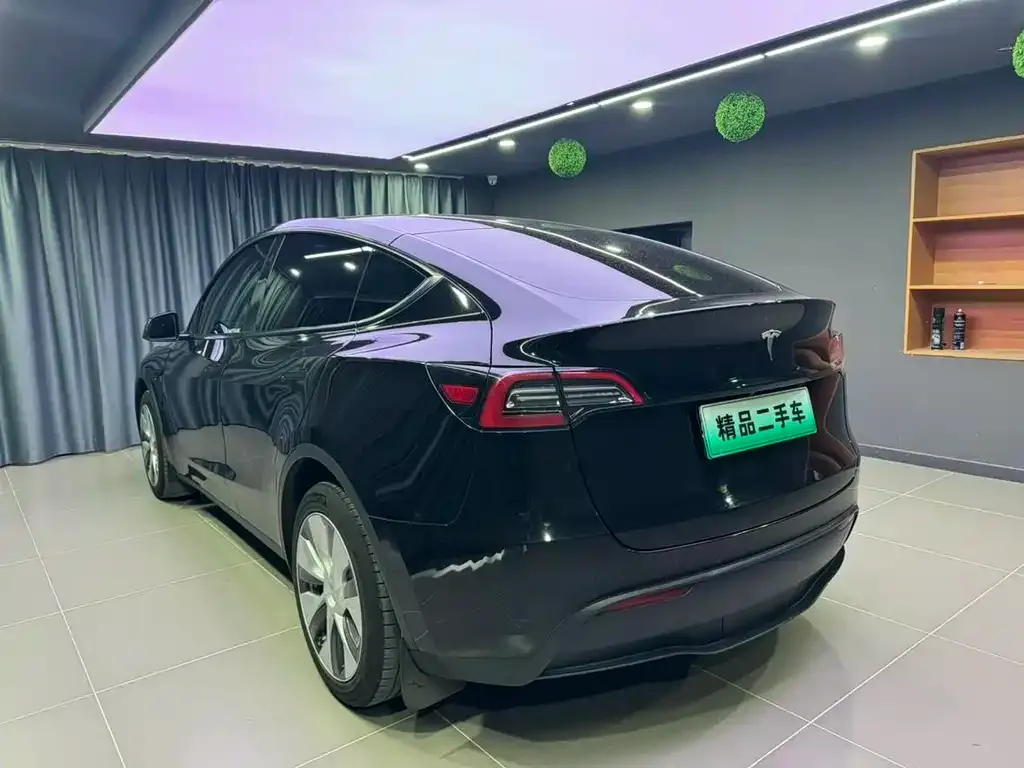 Tesla Model Y — фото 5