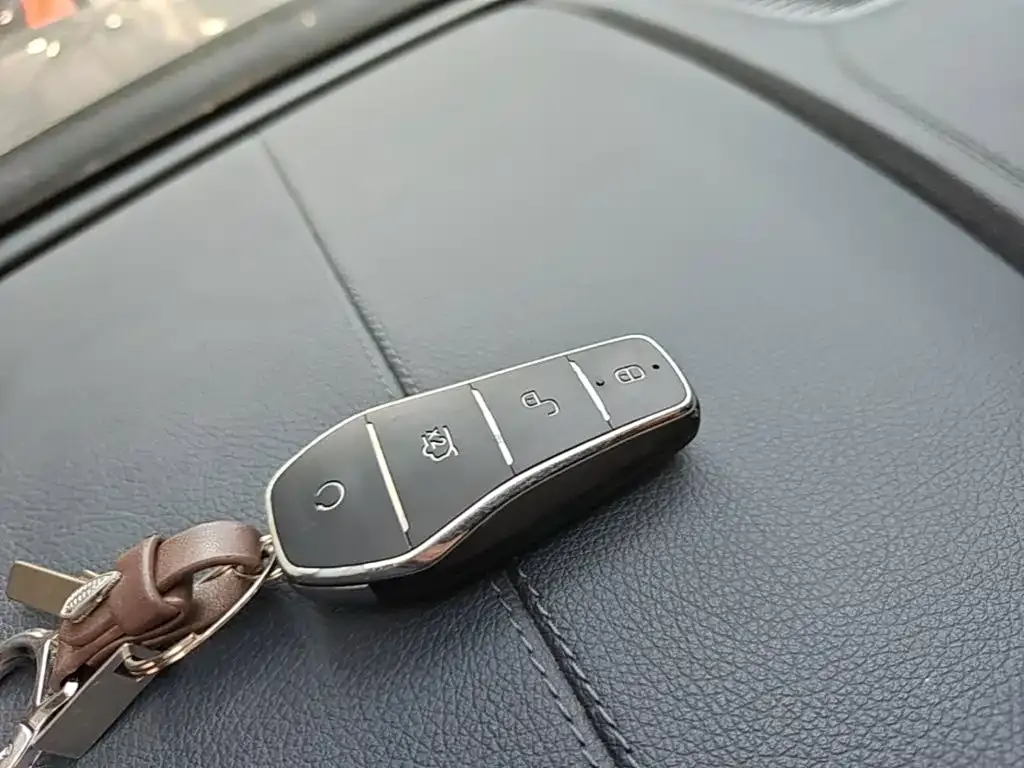 BYD PLUS New Energy — фото 4