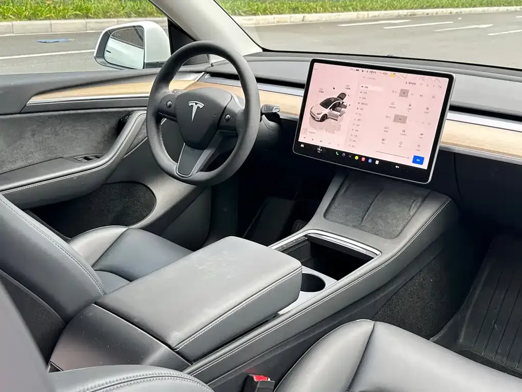 Tesla Model Y — фото 9
