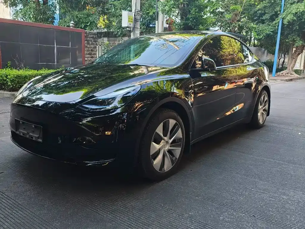 Tesla Model Y — фото 1