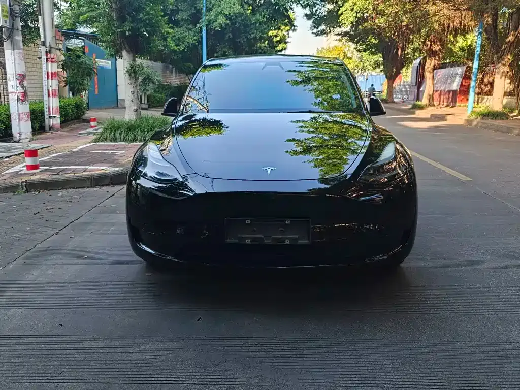 Tesla Model Y — фото 4