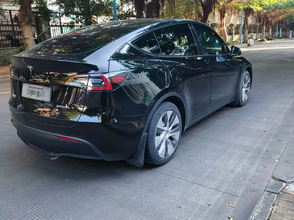 Tesla Model Y — фото 5