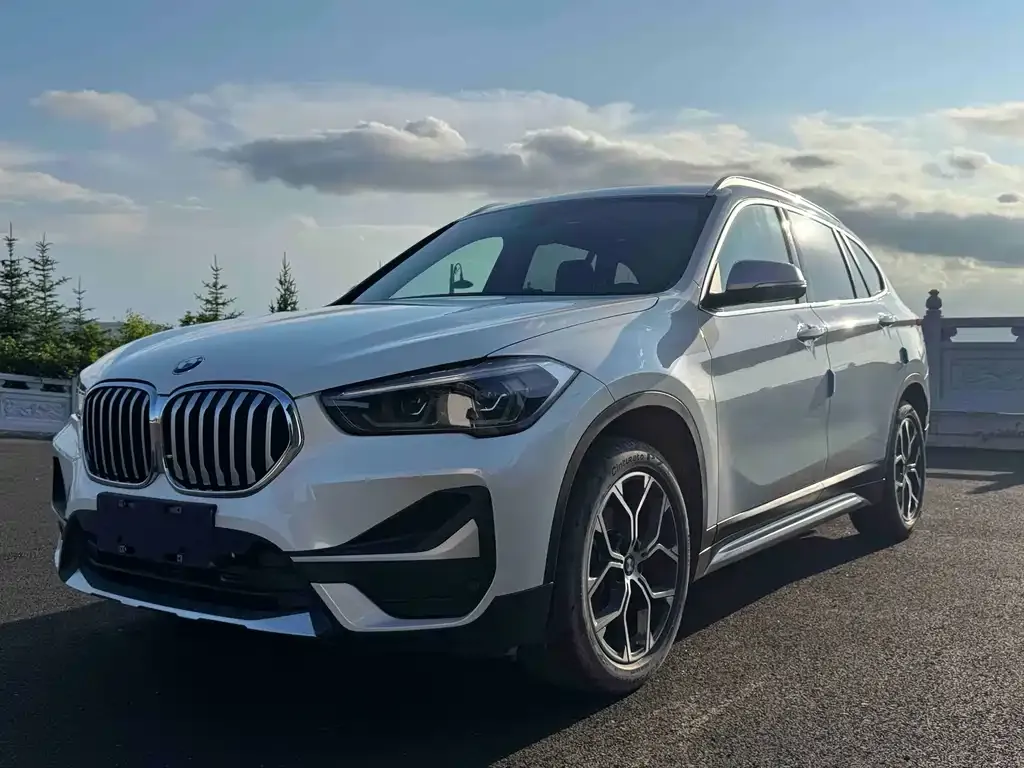 BMW X1 — фото 1