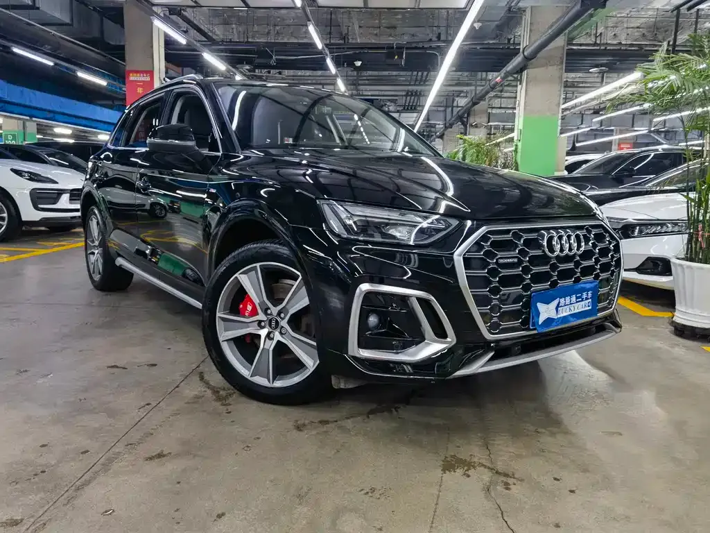 Audi Q5L — фото 10