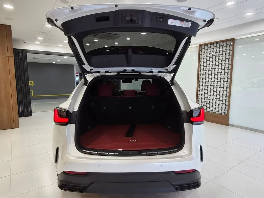 Lexus NX 2022 из KR, фото 6