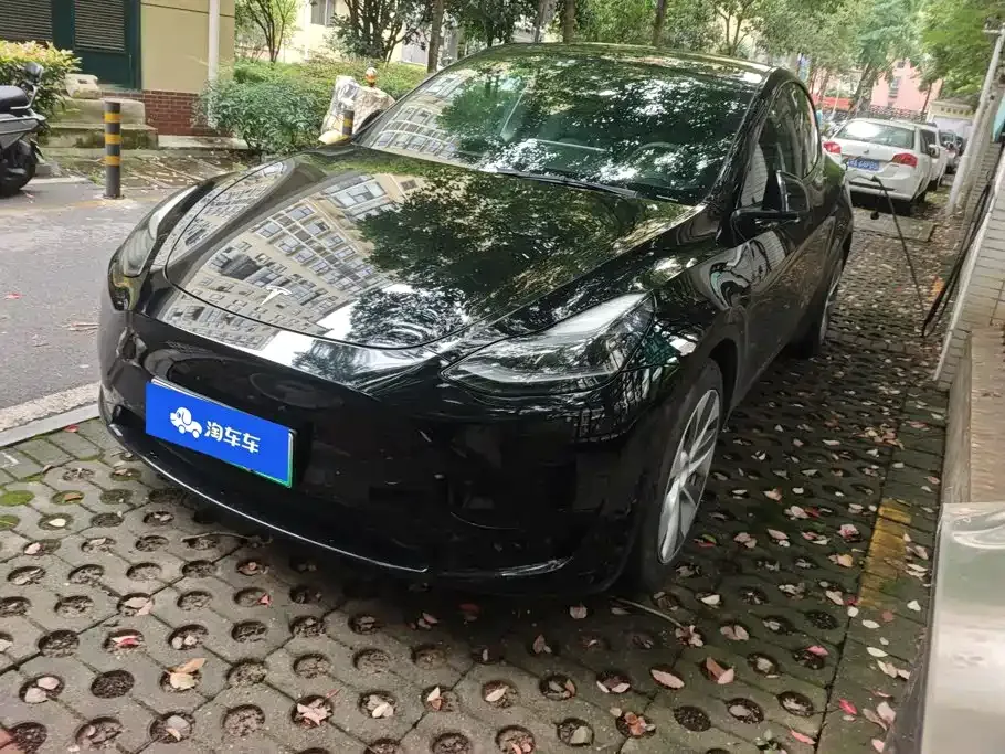 Tesla Model Y — фото 1