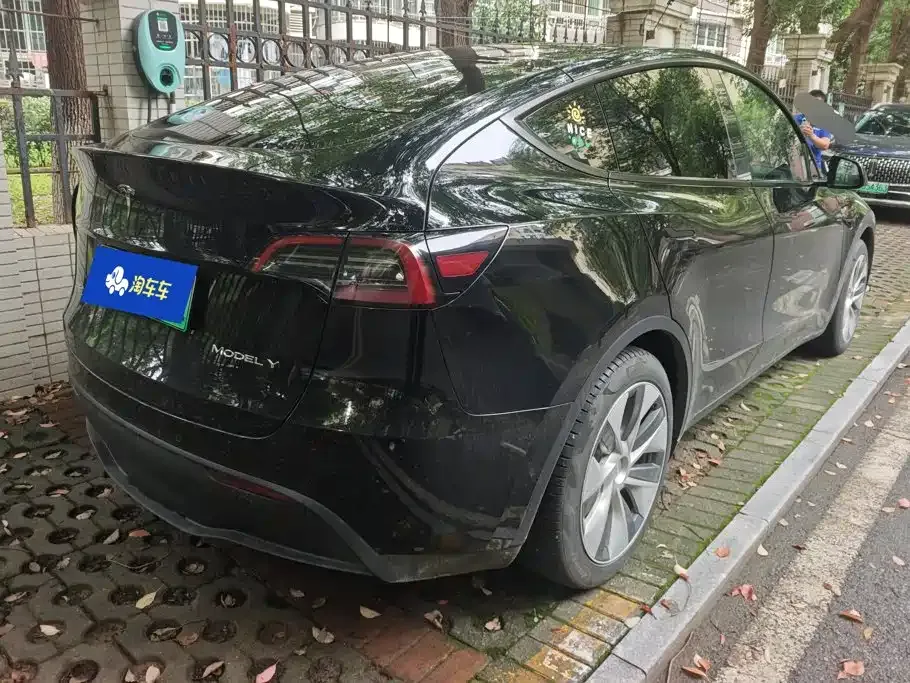 Tesla Model Y — фото 8