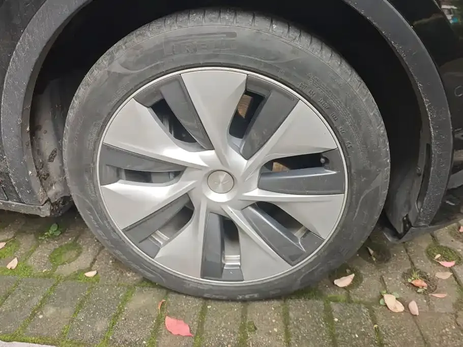 Tesla Model Y — фото 10