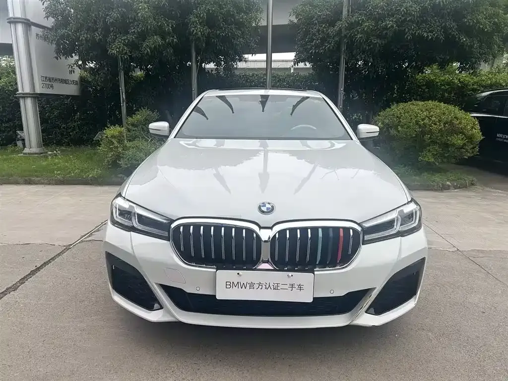 BMW 5 Series (Import) 2023 из CN, фото 10