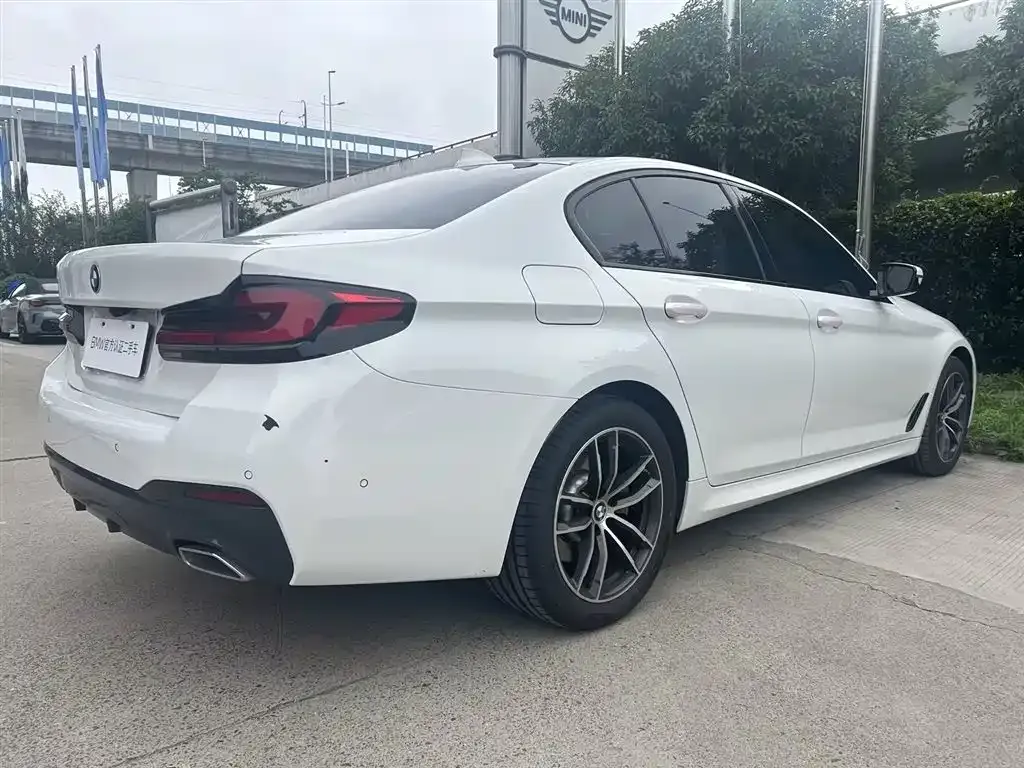 BMW 5 Series (Import) 2023 из CN, фото 9