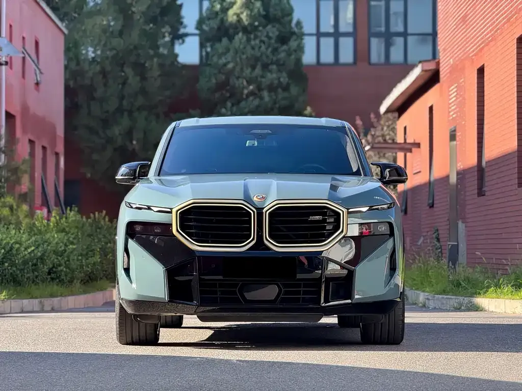 BMW XM — фото 4