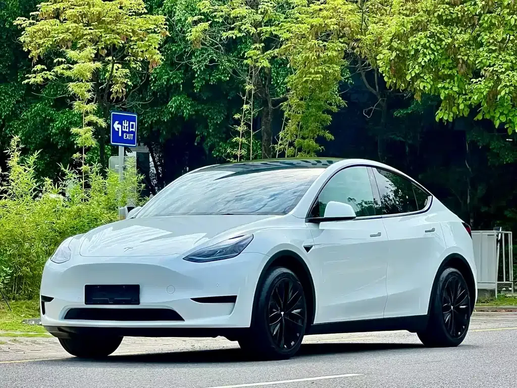 Tesla Model Y — фото 1