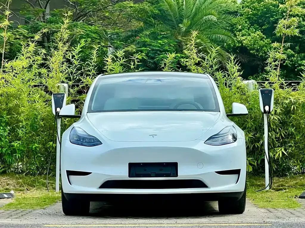 Tesla Model Y — фото 5