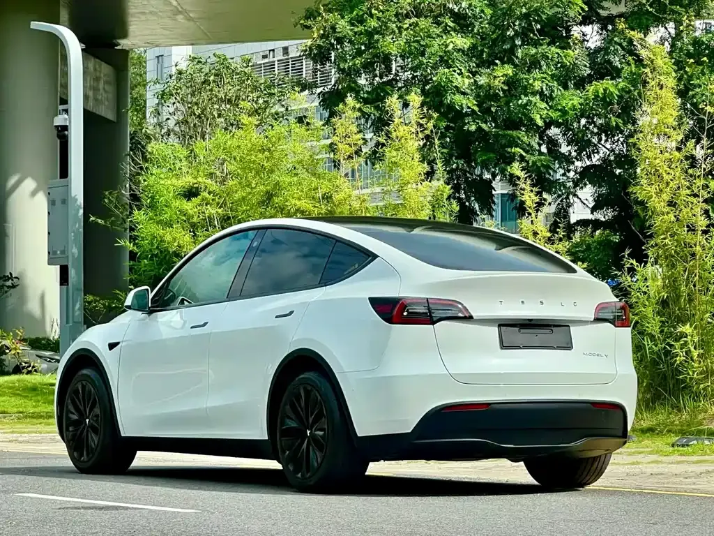 Tesla Model Y — фото 9