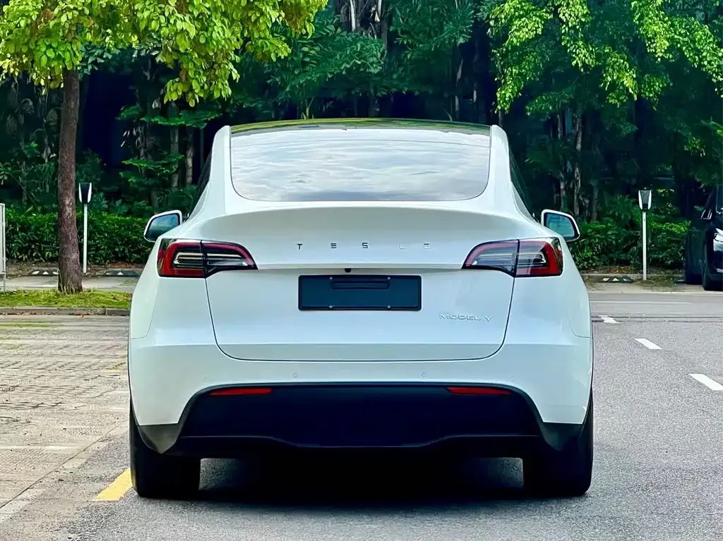 Tesla Model Y — фото 8