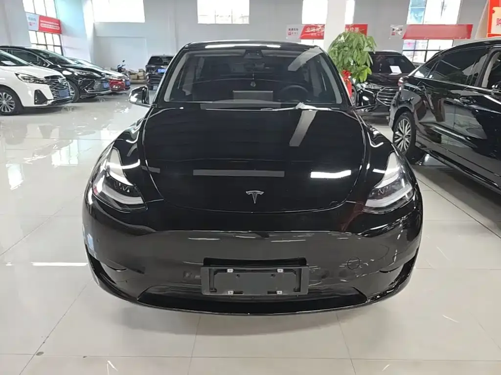 Tesla Model Y — фото 8