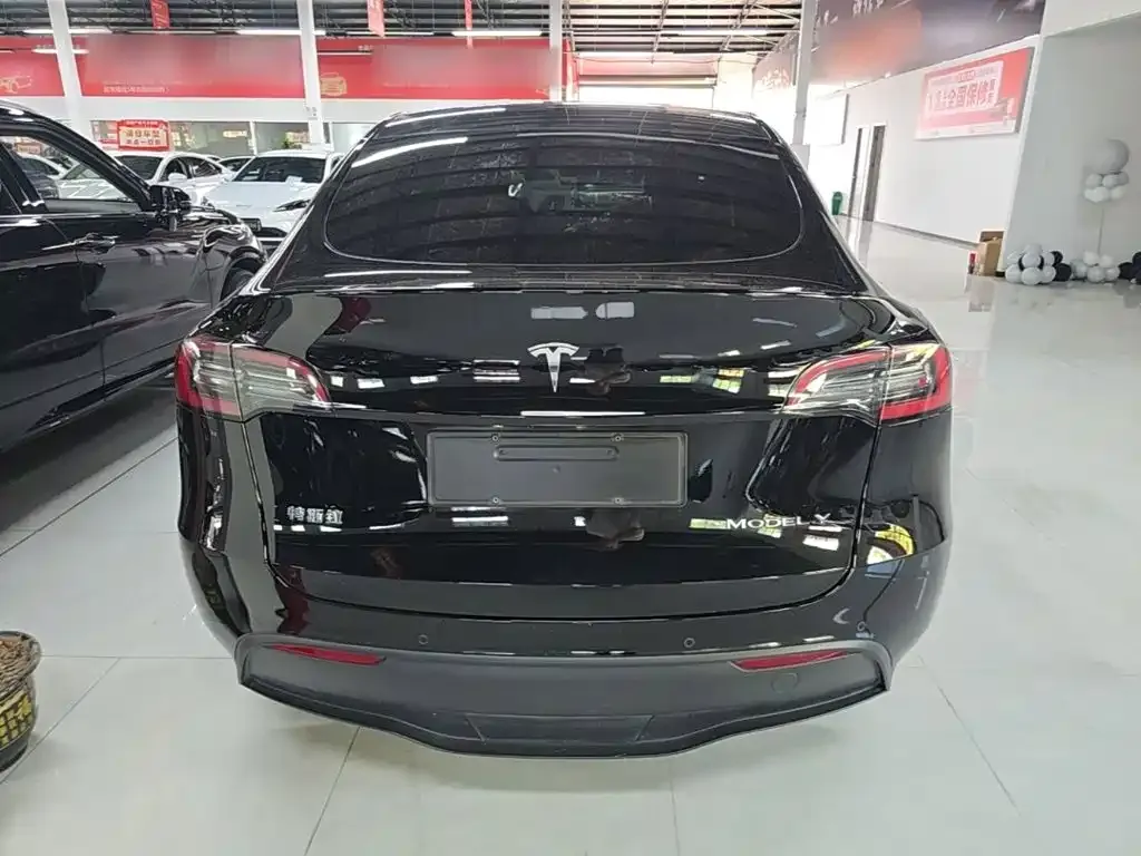 Tesla Model Y — фото 5