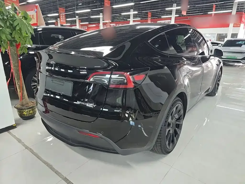 Tesla Model Y — фото 3
