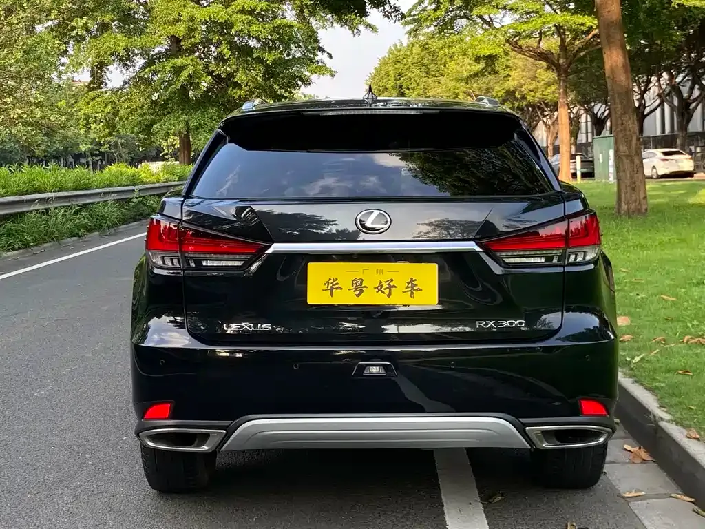 Lexus RX — фото 10