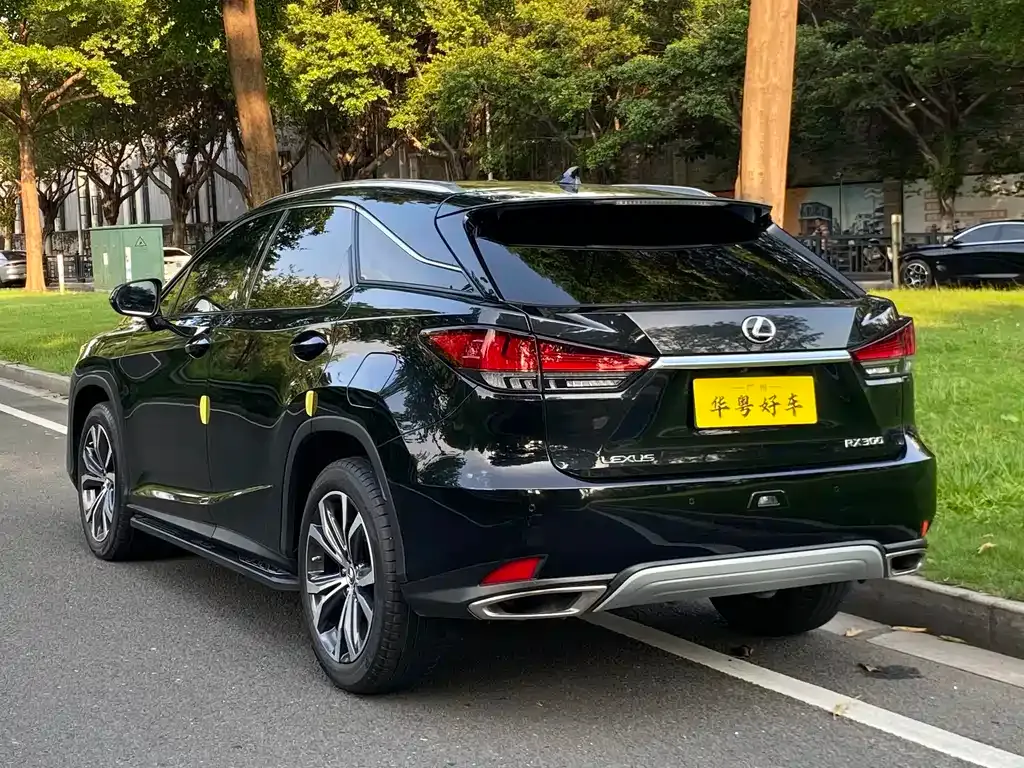 Lexus RX — фото 9