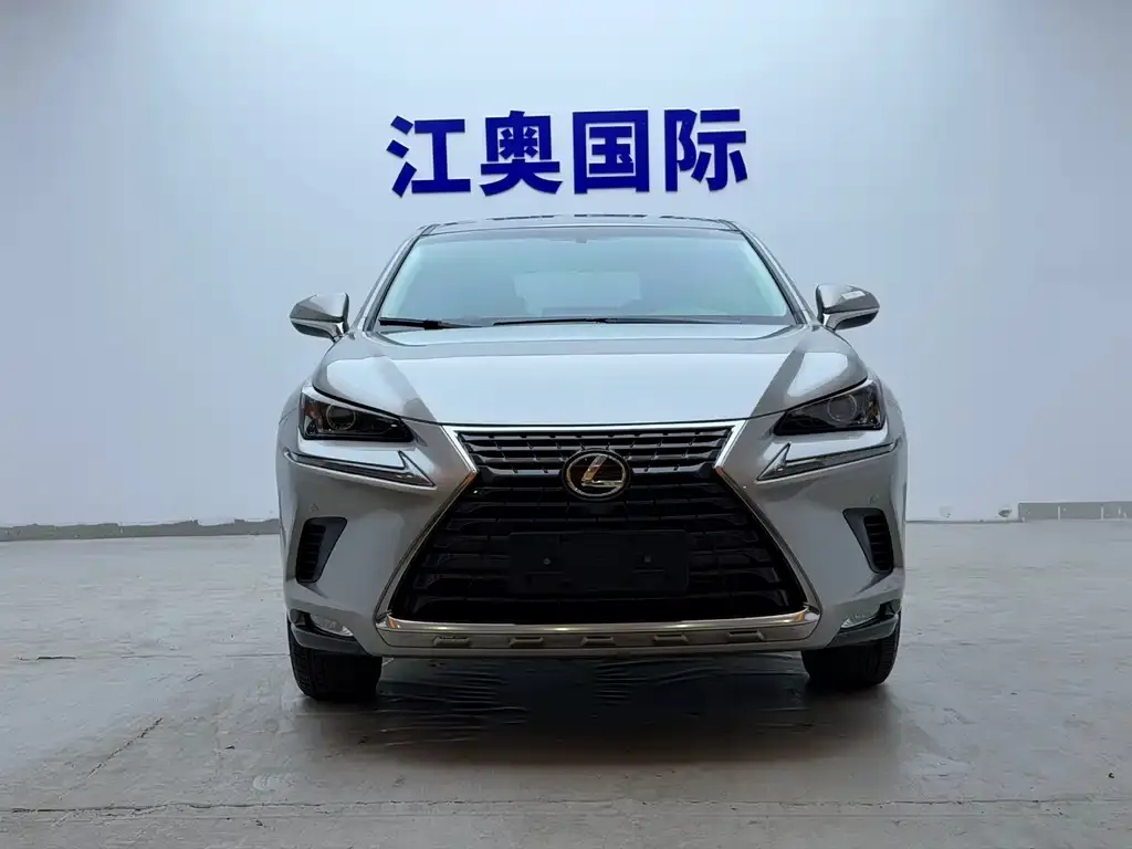 Lexus NX 2021 из CN, фото 2