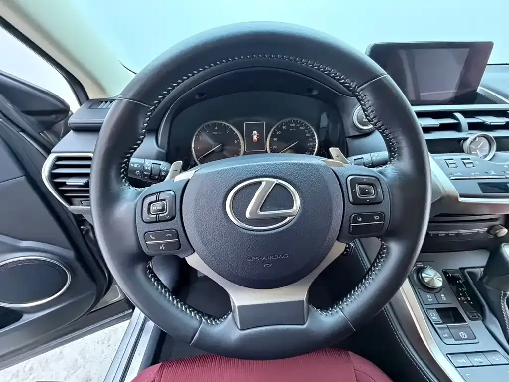 Lexus NX 2021 из CN, фото 6