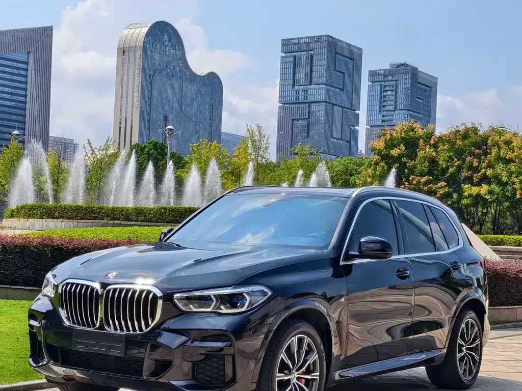 BMW X5 (Import) — фото 1