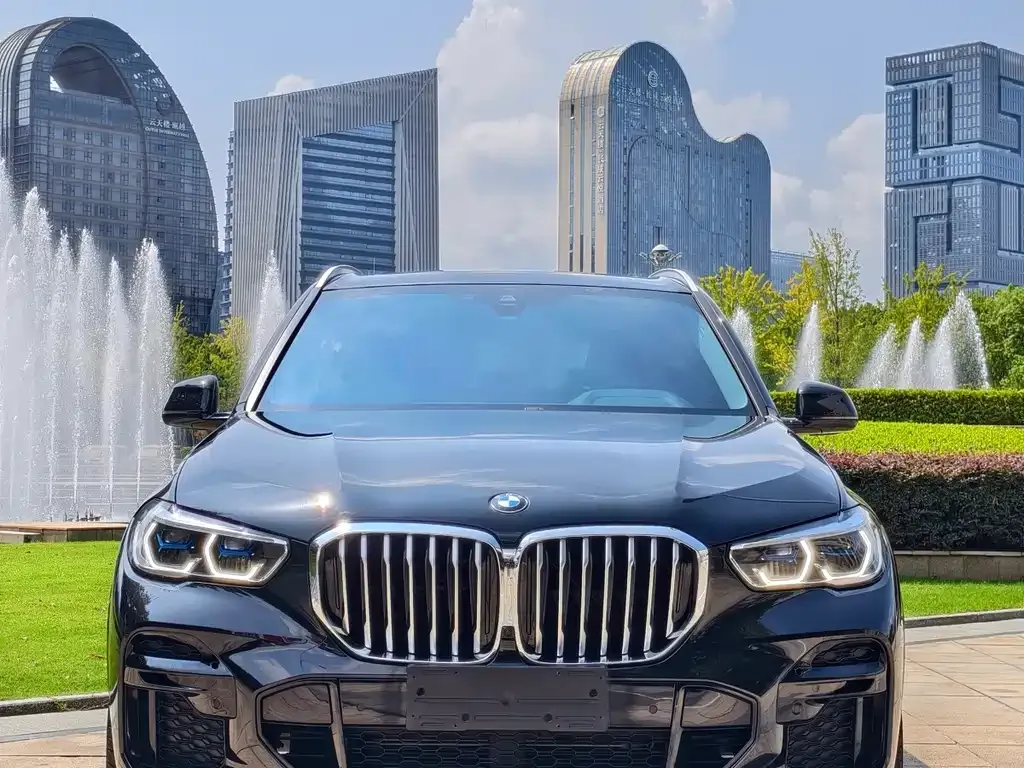 BMW X5 (Import) — фото 9