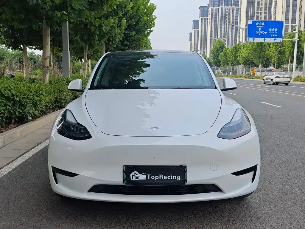 Tesla Model Y — фото 9