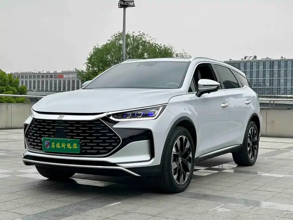 BYD Tang New Energy — фото 1