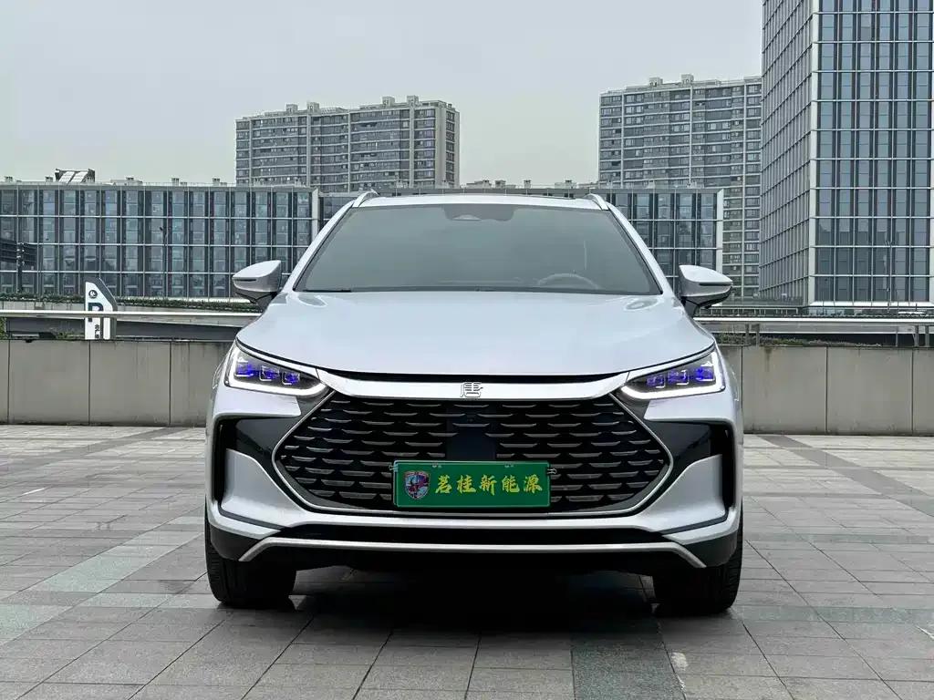 BYD Tang New Energy — фото 9