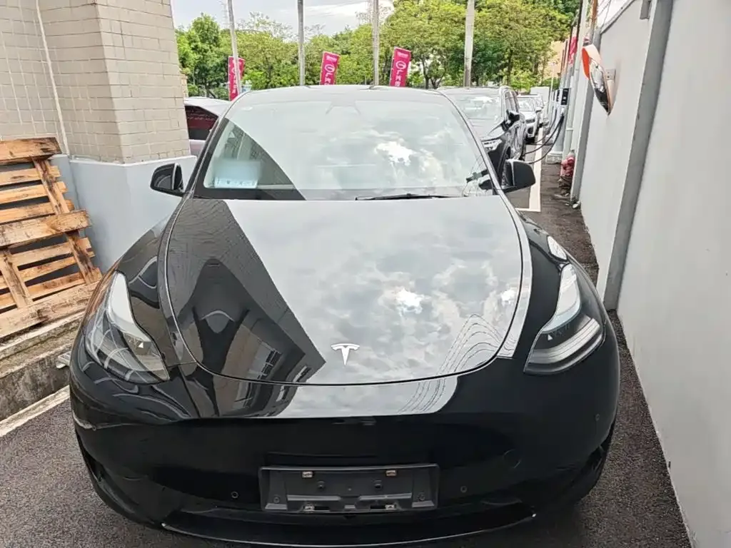 Tesla Model Y — фото 3