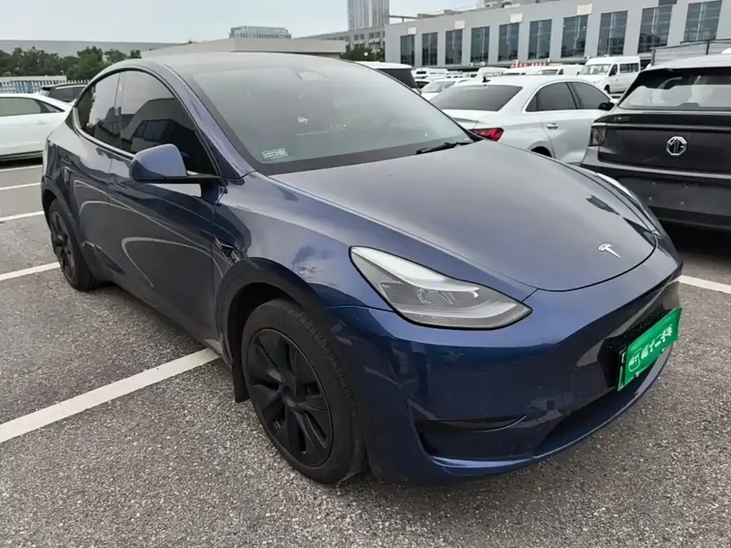 Tesla Model Y — фото 6
