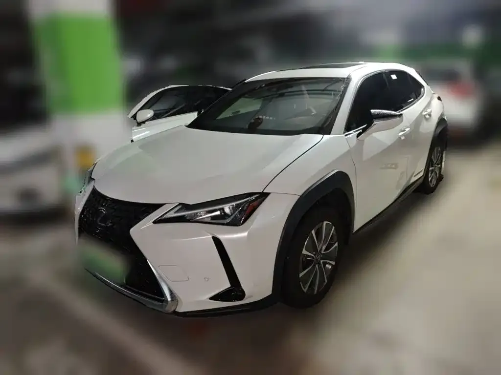 Lexus UX New Energy — фото 10