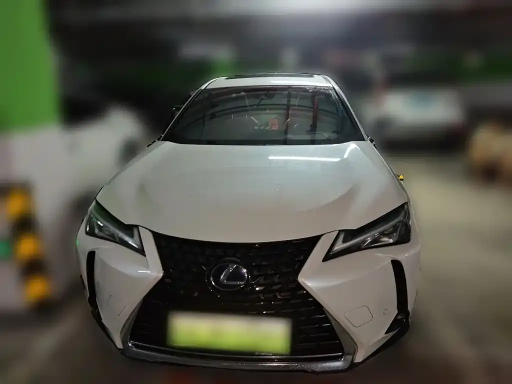 Lexus UX New Energy — фото 4
