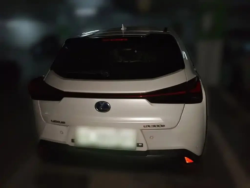 Lexus UX New Energy — фото 3