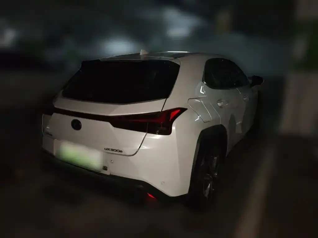 Lexus UX New Energy — фото 2