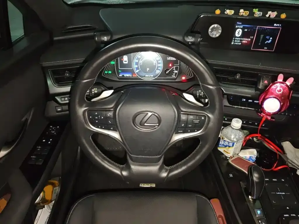 Lexus UX New Energy — фото 7