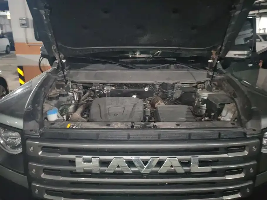 Haval Menglong New Energy 2024 из CN, фото 10