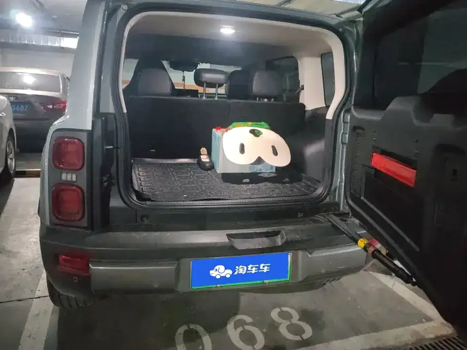 Haval Menglong New Energy 2024 из CN, фото 6