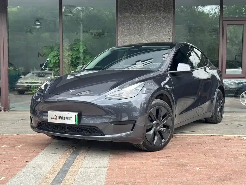 Tesla Model Y — фото 1