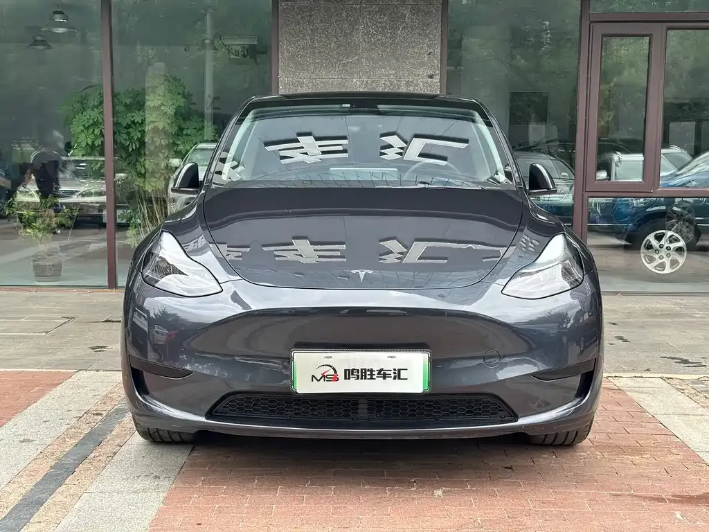 Tesla Model Y — фото 9
