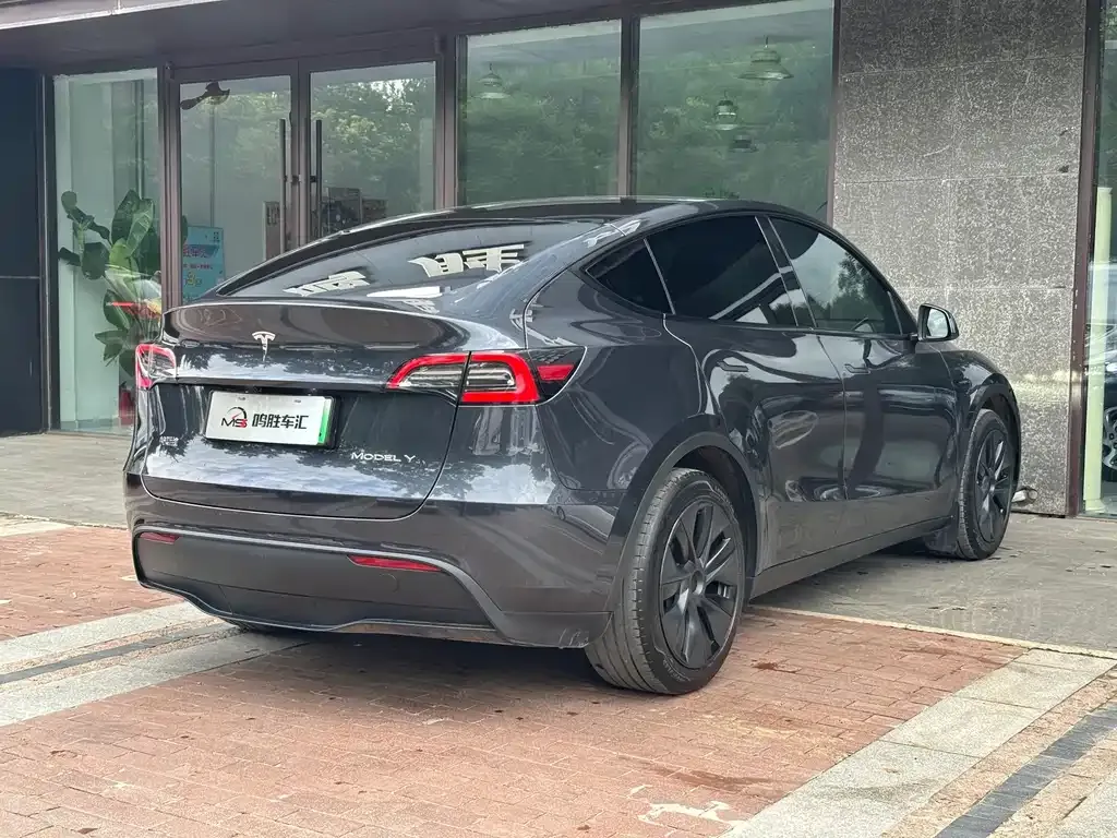 Tesla Model Y — фото 8