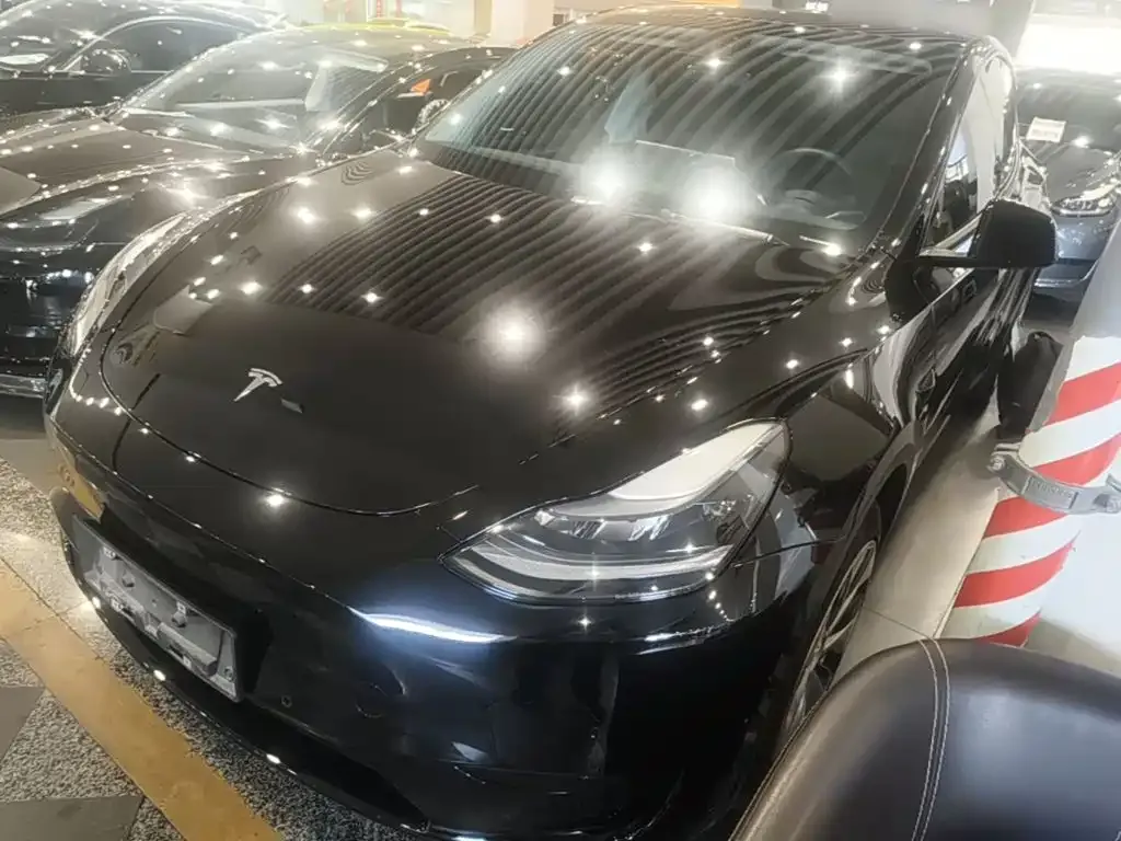 Tesla Model Y — фото 9