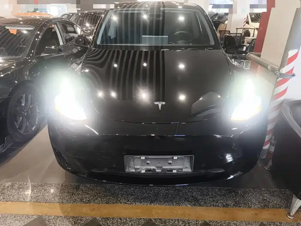 Tesla Model Y — фото 8