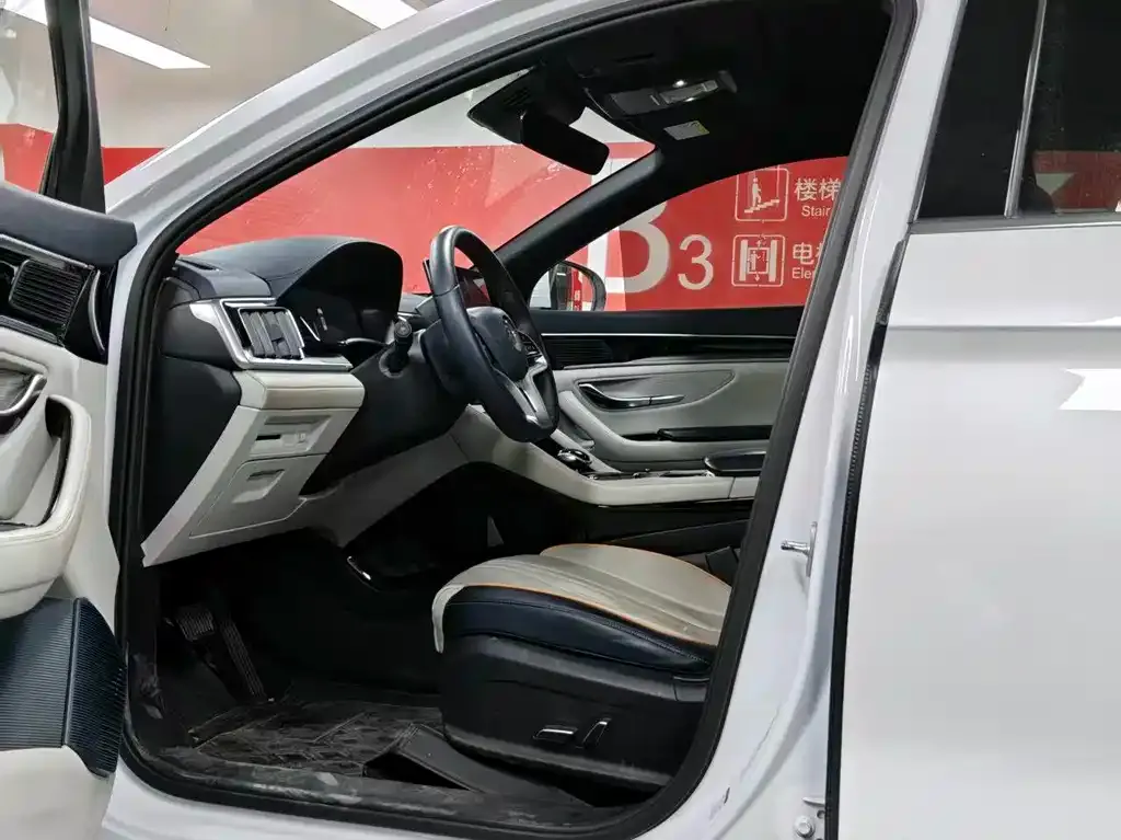 BYD PLUS New Energy — фото 9