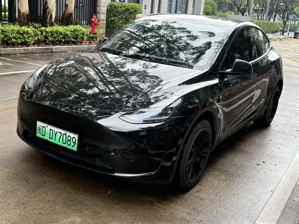 Tesla Model Y — фото 1