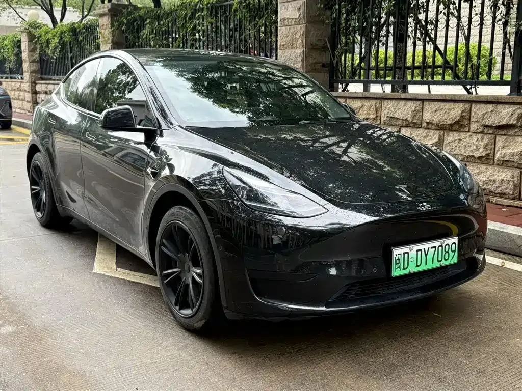 Tesla Model Y — фото 9