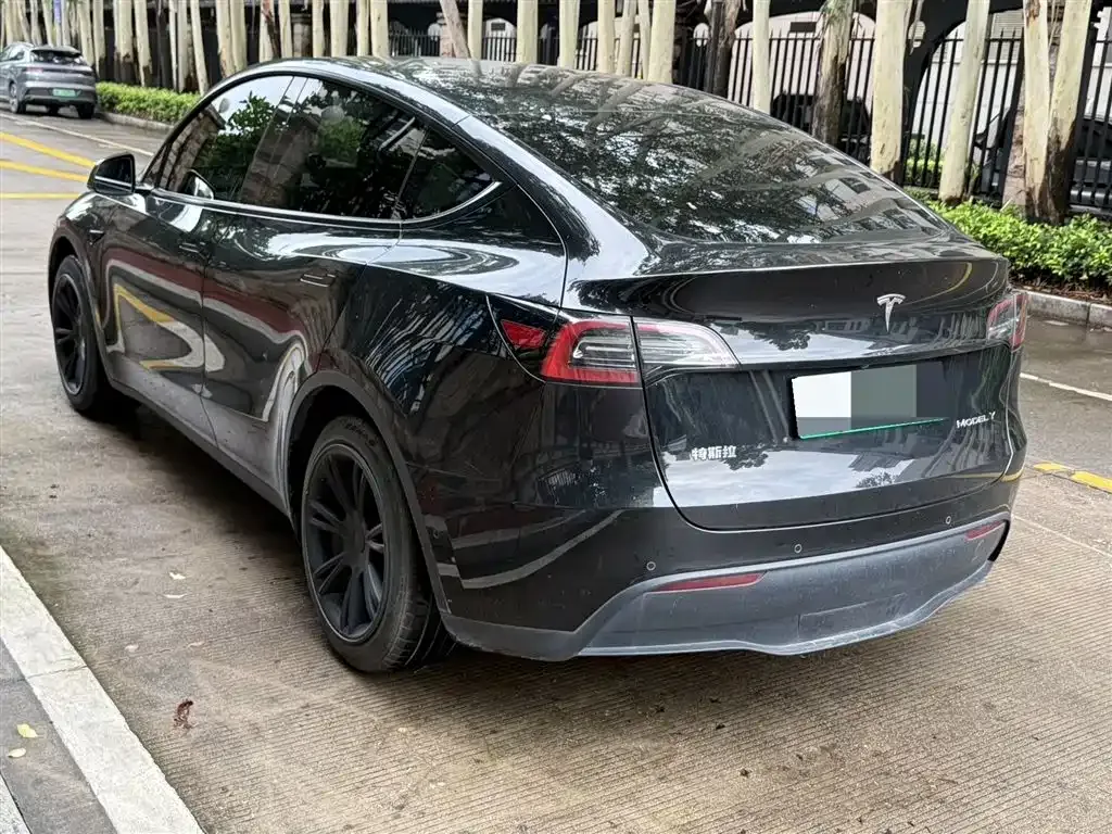 Tesla Model Y — фото 3