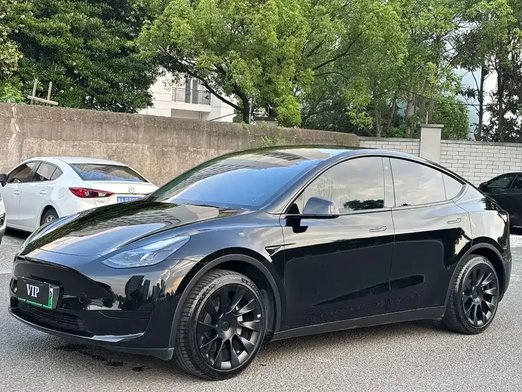 Tesla Model Y — фото 1